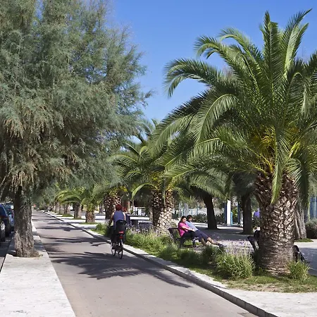 Sayonara Hotel San Benedetto del Tronto